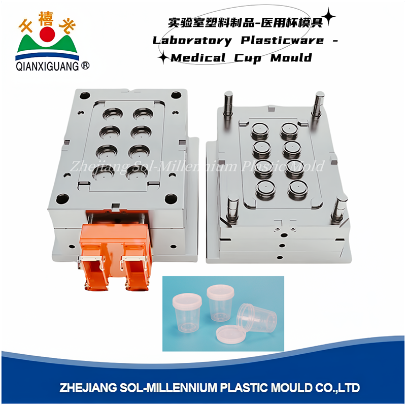 Medical Cup Mould